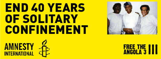 amnesty international, end 40 years of solitary confinement